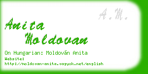 anita moldovan business card