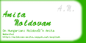 anita moldovan business card